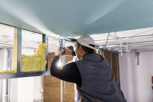 Best Insulation for New Construction  in Pleasureville, PA
