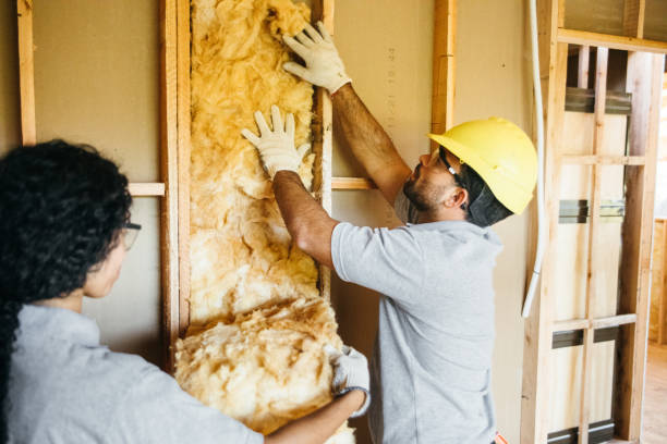 Best Residential Insulation Services  in Pleasureville, PA