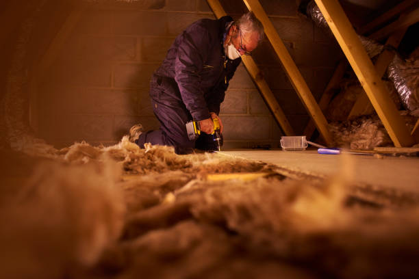 Best Insulation Contractors for Homes  in Pleasureville, PA